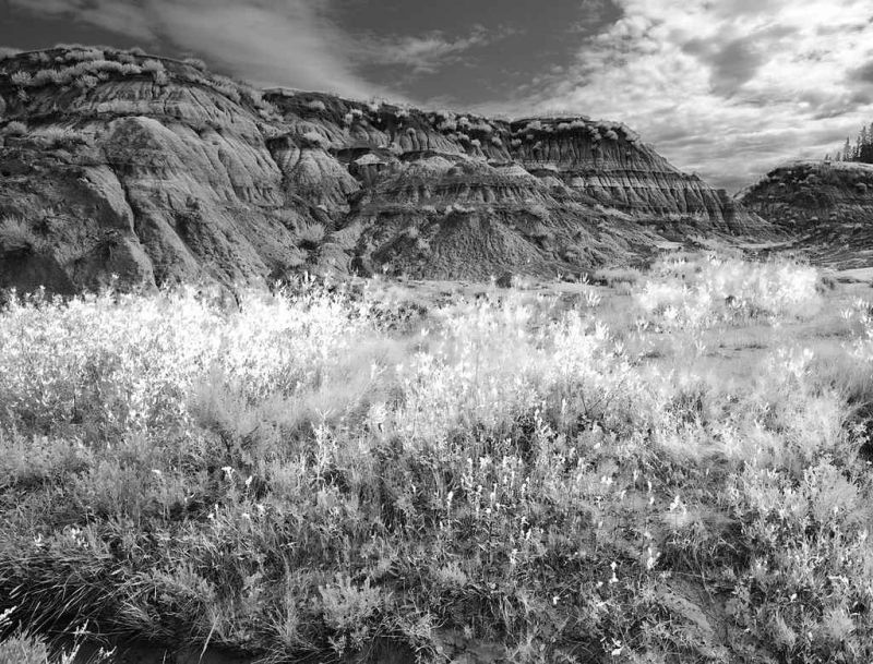 horse shoe canyon.jpg